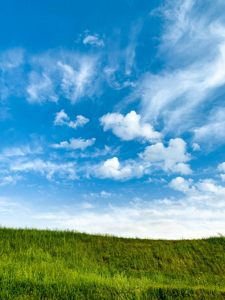 The Essential Role of Diesel Exhaust Fluid: Why Sinopec is Your Best Choice